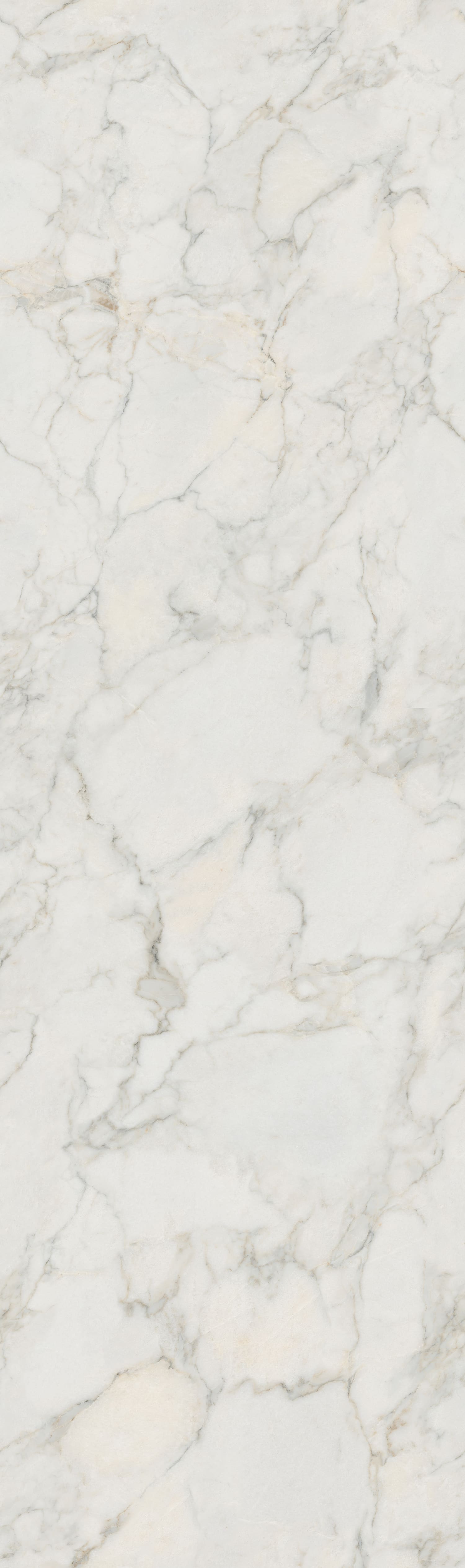 Alpine White