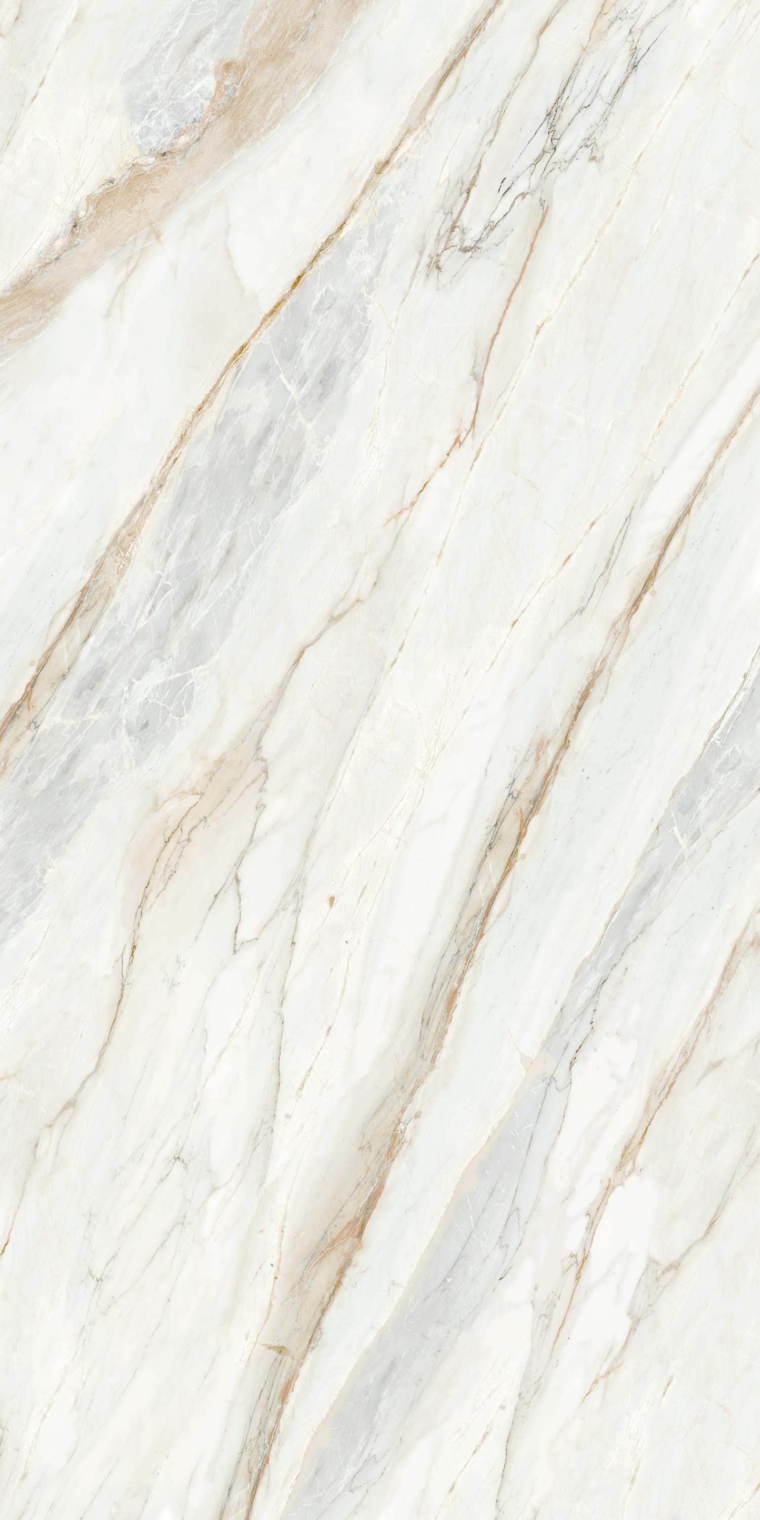 Palissandro White